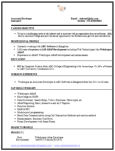 Sample resume with basic computer skills